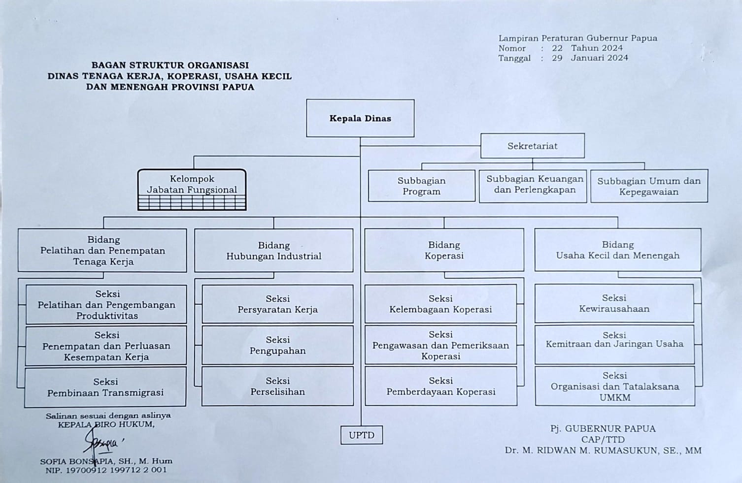 Struktur Organisasi